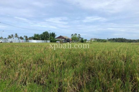 3800m2 Land in Tabanan, Indonesia No. 305 14