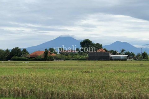 3800m2 Land in Tabanan, Indonesia No. 305 22