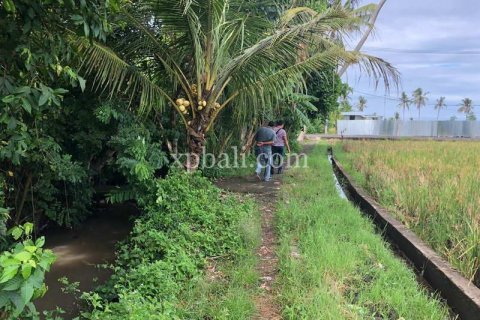 3800m2 Land in Tabanan, Indonesia No. 305 23