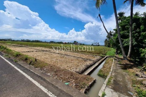 3800m2 Land in Tabanan, Indonesia No. 305 7