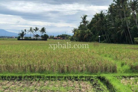 3800m2 Land in Tabanan, Indonesia No. 305 21