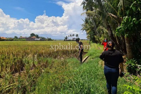 3800m2 Land in Tabanan, Indonesia No. 305 10
