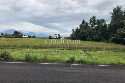 3800m2 Land in Tabanan, Indonesia No. 305 3