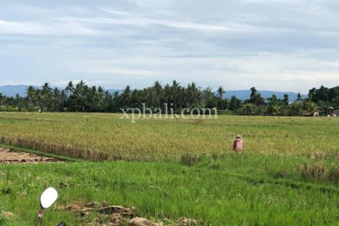 3800m2 Land in Tabanan, Indonesia No. 305 12