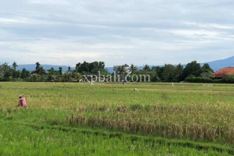 3800m2 Land in Tabanan, Indonesia No. 305 9