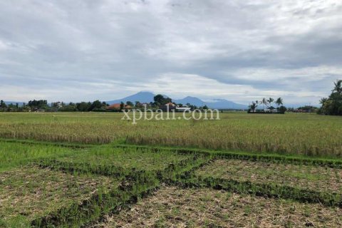 3800m2 Land in Tabanan, Indonesia No. 305 13