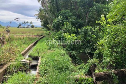3800m2 Land in Tabanan, Indonesia No. 305 4