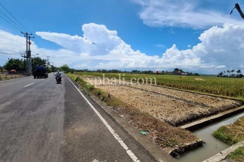 3800m2 Land in Tabanan, Indonesia No. 305 24