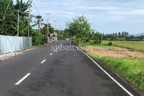 3800m2 Land in Tabanan, Indonesia No. 305 16