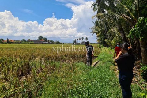 3800m2 Land in Tabanan, Indonesia No. 305 8