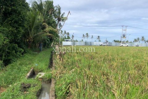 3800m2 Land in Tabanan, Indonesia No. 305 6