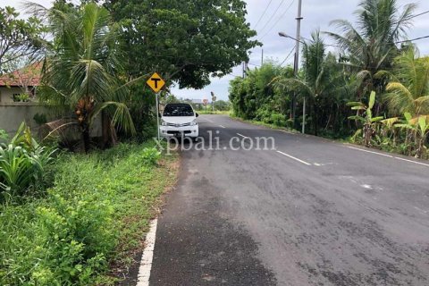 3800m2 Land in Tabanan, Indonesia No. 305 18