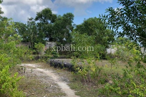 Земельный участок 21000м2 в Jimbaran, Бадунг, Индонезия № 304 10