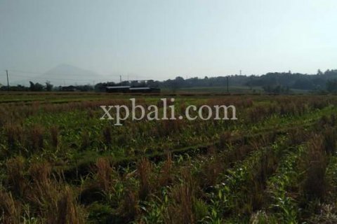 2940m2 Land in Tabanan, Indonesia No. 301 5