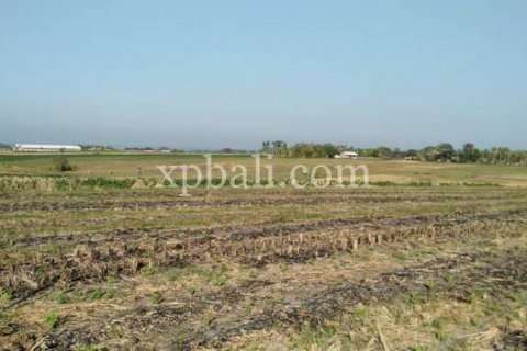 2940m2 Land in Tabanan, Indonesia No. 301