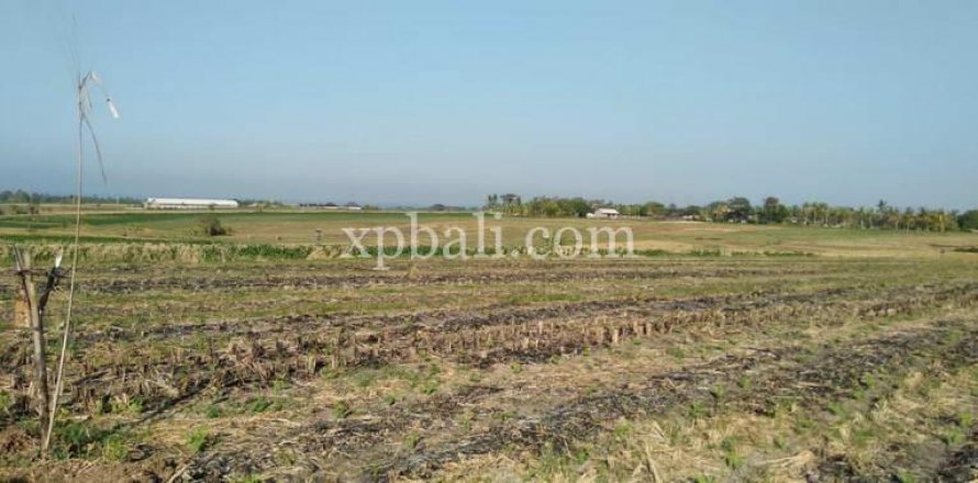 2940m2 Land in Tabanan, Indonesia No. 301