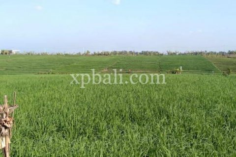 2940m2 Land in Tabanan, Indonesia No. 301 4