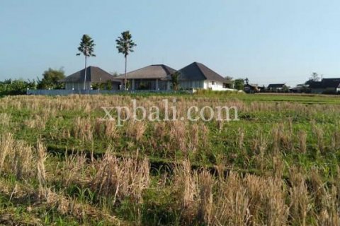 2940m2 Land in Tabanan, Indonesia No. 301 6