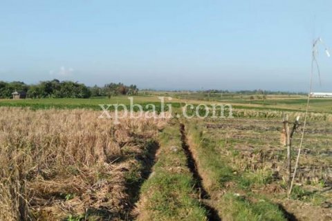 2940m2 Land in Tabanan, Indonesia No. 301 3