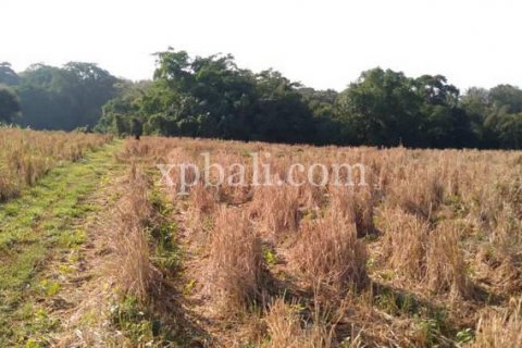 2940m2 Land in Tabanan, Indonesia No. 301 2