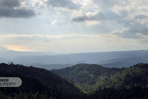 23000m2 Land in Buleleng, Indonesia No. 8627