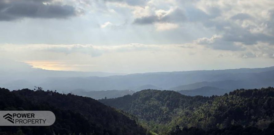 23000m2 Land in Buleleng, Indonesia No. 8627