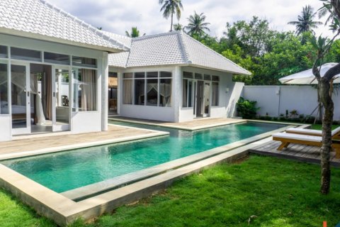 2 bedrooms Villa in Buleleng, Indonesia No. 11527 12