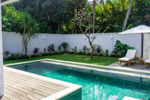 2 bedrooms Villa in Buleleng, Indonesia No. 11527 13