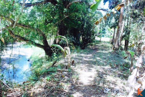 Land in Tabanan, Indonesia No. 11526 6