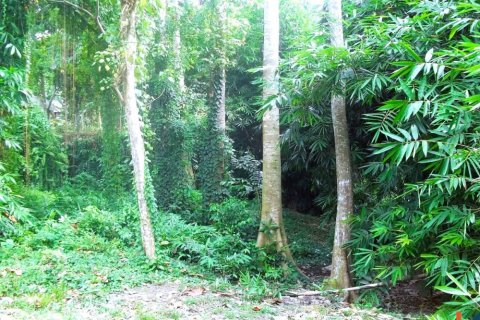 Land in Tabanan, Indonesia No. 11526 4