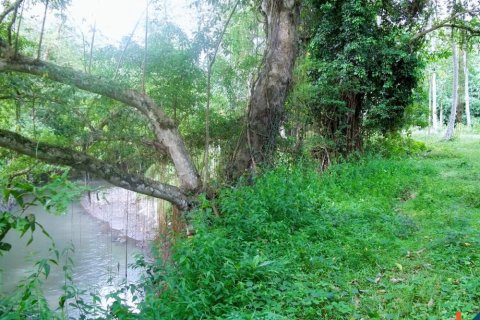 Land in Tabanan, Indonesia No. 11526 5