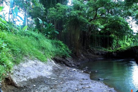 Land in Tabanan, Indonesia No. 11526 7