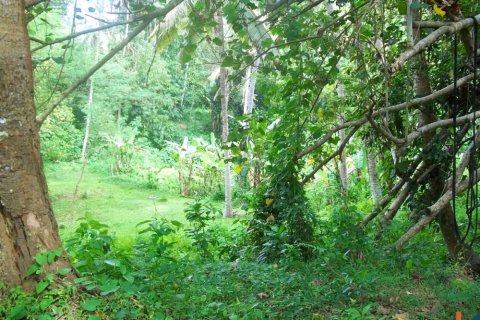 Land in Tabanan, Indonesia No. 11526 2