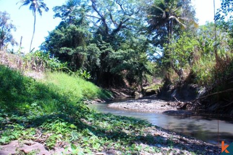 Land in Tabanan, Indonesia No. 11526