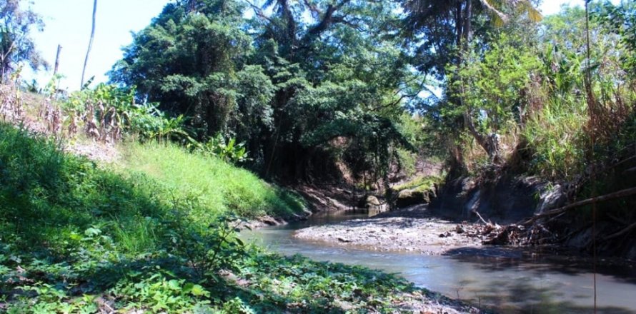 Land in Tabanan, Indonesia No. 11526