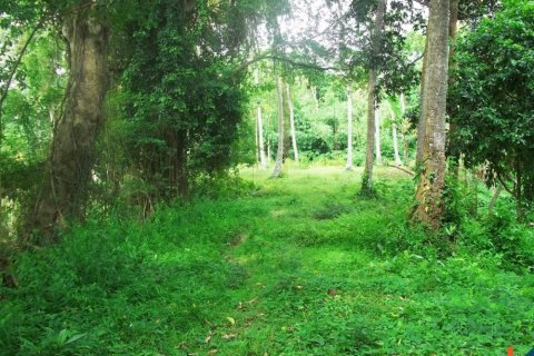 Land in Tabanan, Indonesia No. 11526 3