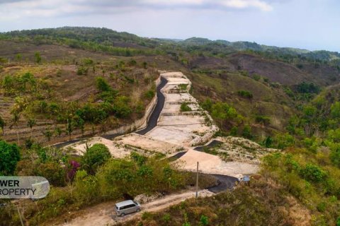 500m2 Land in Nusa Penida, Klungkung, Indonesia No. 13339 3