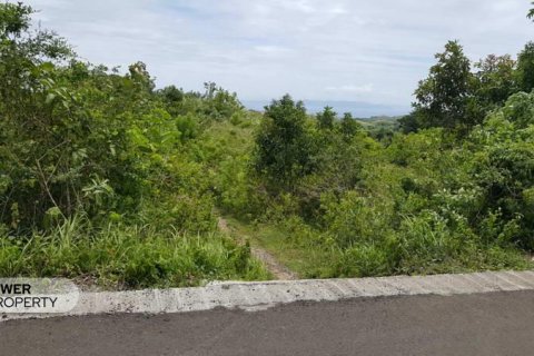 Земельный участок 500м2 в Nusa Penida, Клунгкунг, Индонезия № 13339