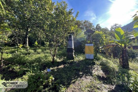9400m2 Land in Lovina, Anturan, Buleleng, Indonesia No. 9384 5