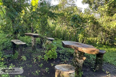 9400m2 Land in Lovina, Anturan, Buleleng, Indonesia No. 9384 8