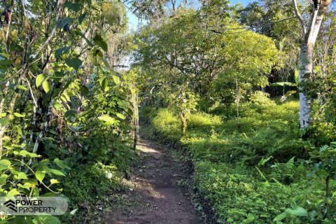 9400m2 Land in Lovina, Anturan, Buleleng, Indonesia No. 9384 9
