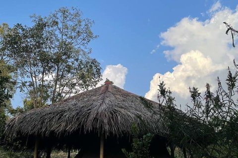 9400m2 Land in Lovina, Anturan, Buleleng, Indonesia No. 9384 17