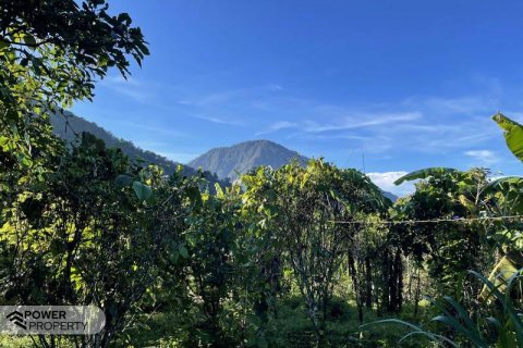 9400m2 Land in Lovina, Anturan, Buleleng, Indonesia No. 9384