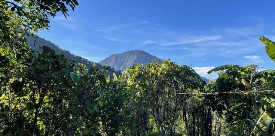 9400m2 Land in Lovina, Anturan, Buleleng, Indonesia No. 9384