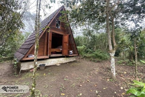 9400m2 Land in Lovina, Anturan, Buleleng, Indonesia No. 9384 14