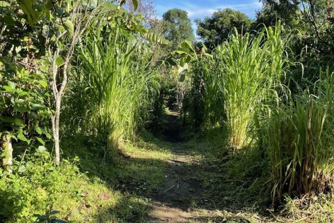 9400m2 Land in Lovina, Anturan, Buleleng, Indonesia No. 9384 7