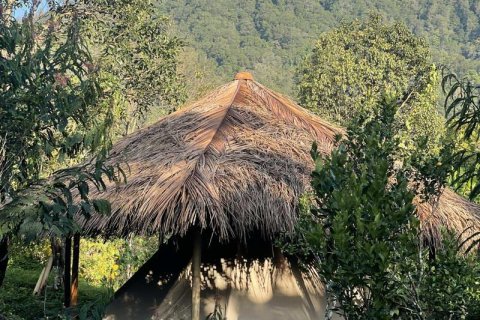 9400m2 Land in Lovina, Anturan, Buleleng, Indonesia No. 9384 2