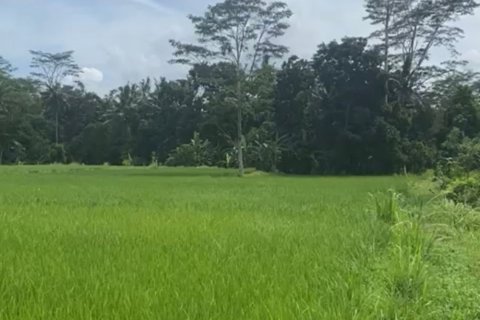 Land in Gianyar, Indonesia No. 11573