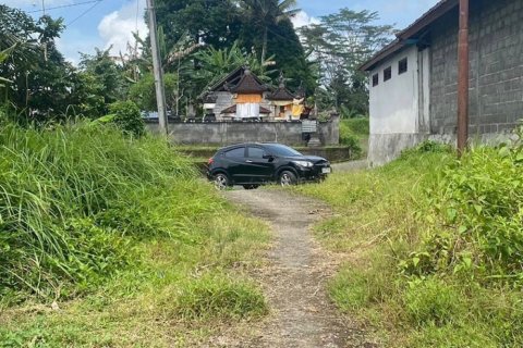 Земельный участок в Gianyar, Гианьяр, Индонезия № 11573 2