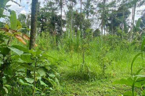 Land in Gianyar, Indonesia No. 11574 2